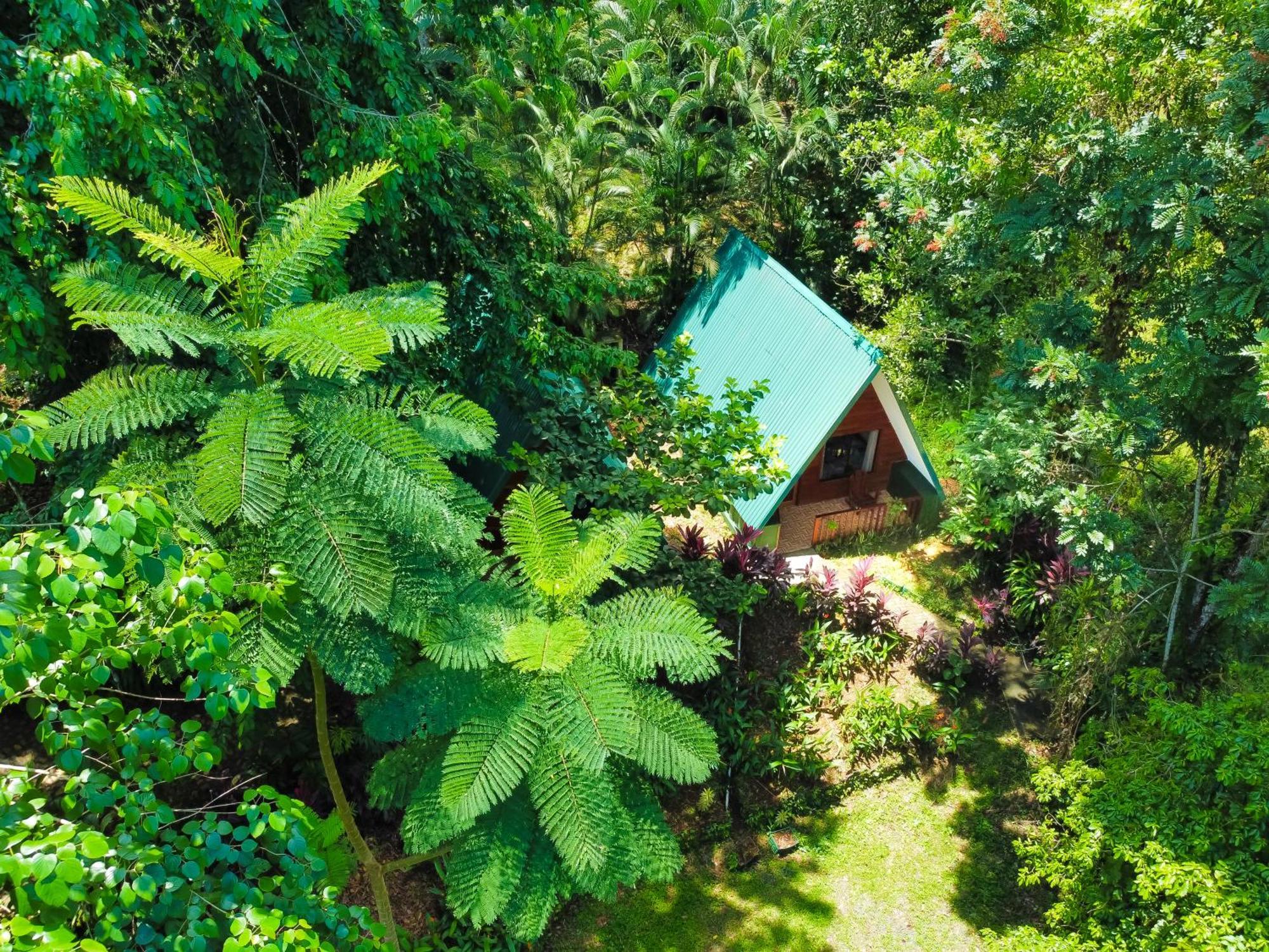 Lodge Oro La Fortuna