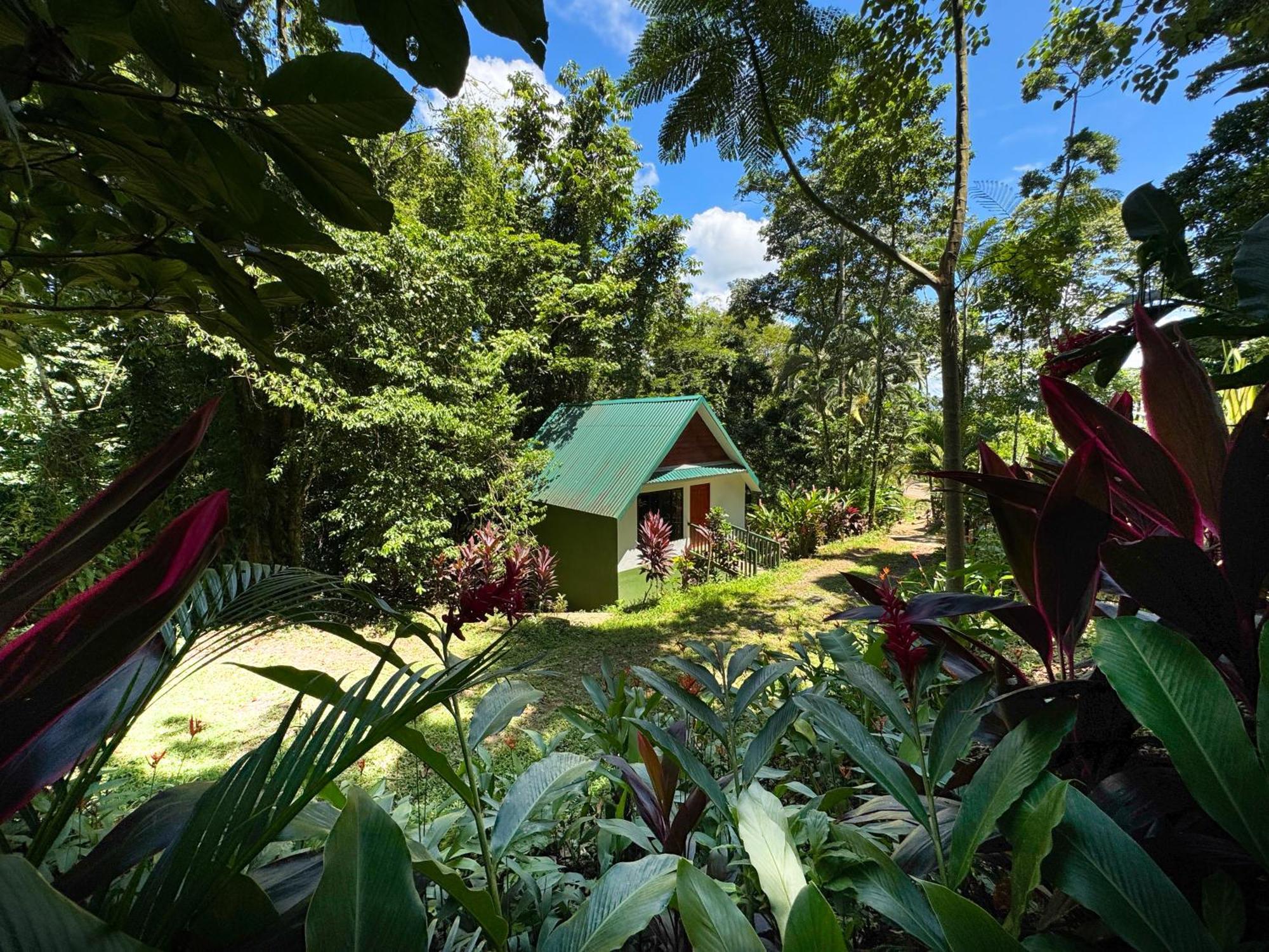 Oro Lodge La Fortuna