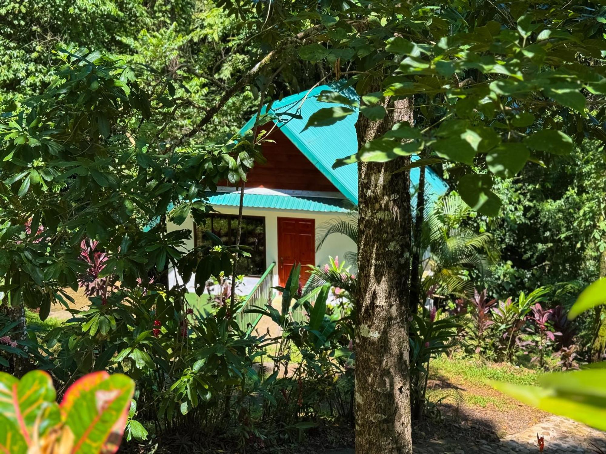 Oro Lodge La Fortuna